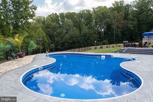 view of pool featuring a patio