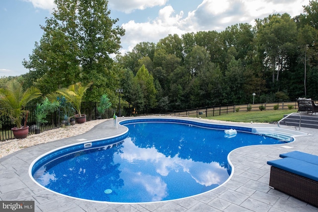 view of pool with a patio