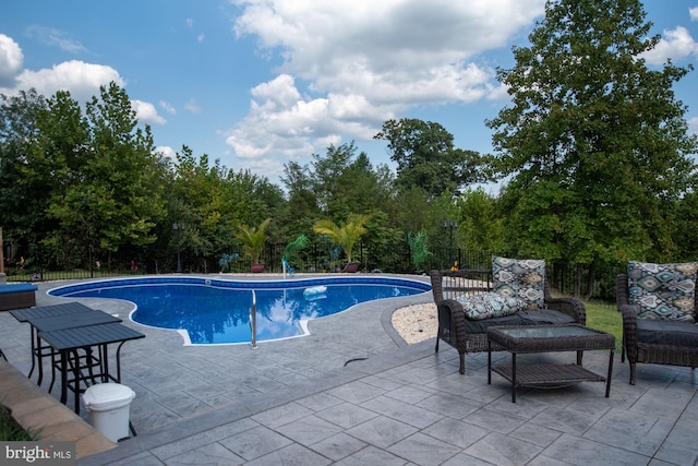 view of pool with a patio