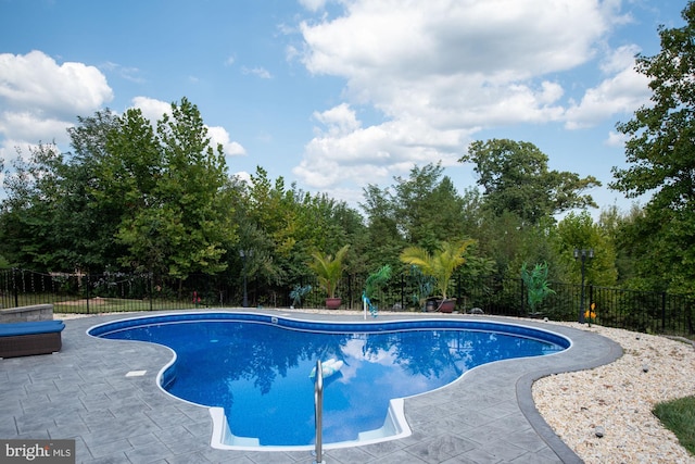 view of pool featuring a patio area