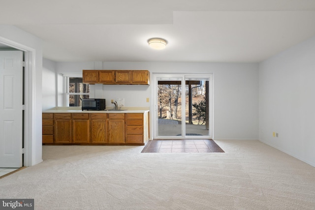 kitchen featuring sink and light carpet