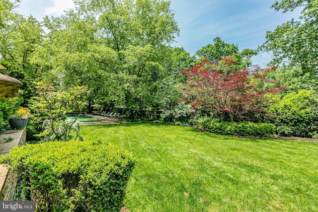 240 Library Pl, Princeton, NJ 08540 - view of green lawn