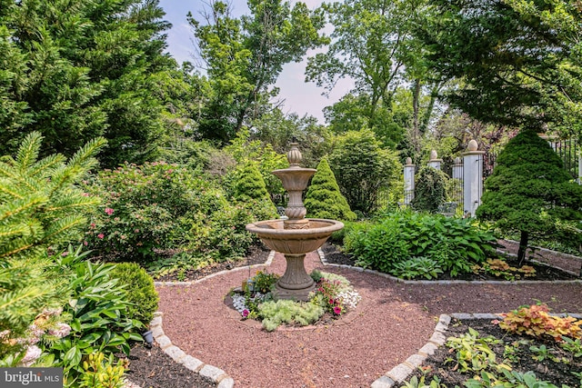 240 Library Pl, Princeton, NJ 08540 - view of yard
