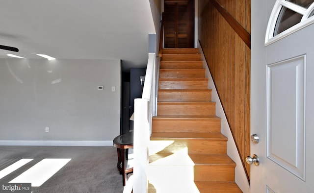 staircase with carpet