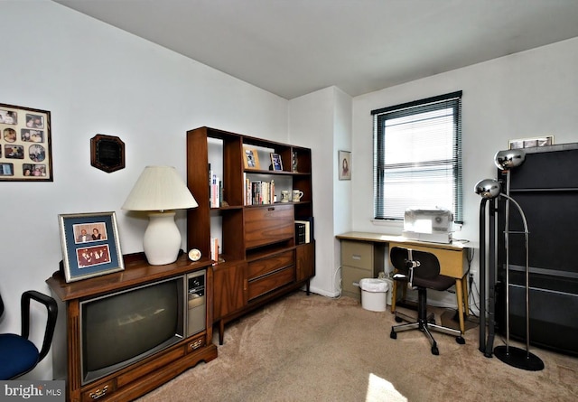 view of carpeted office