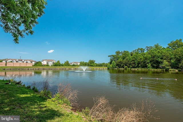 property view of water