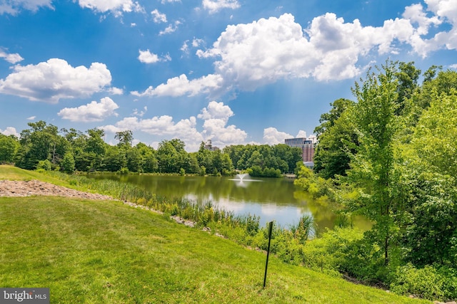 property view of water