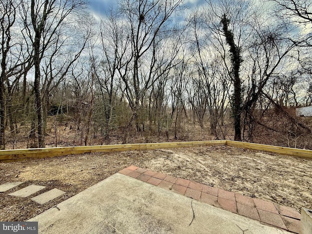 view of yard featuring a patio area