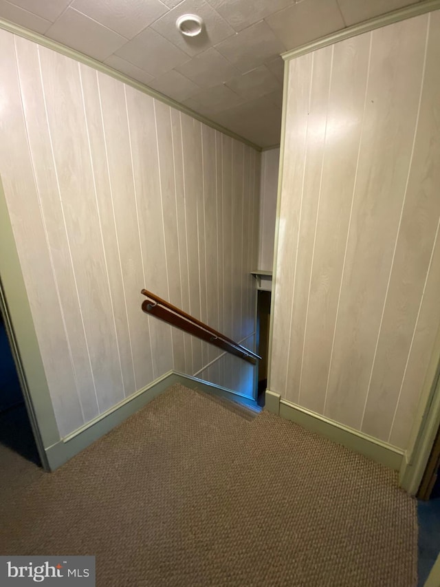 staircase with wooden walls and carpet