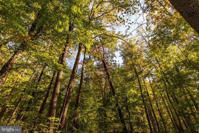 view of nature with a wooded view