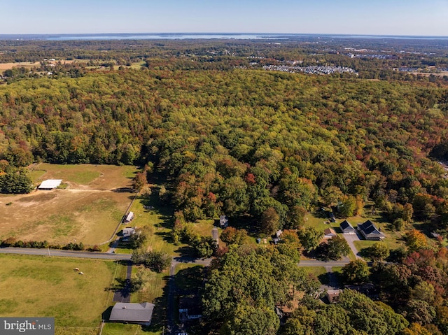 aerial view with a view of trees