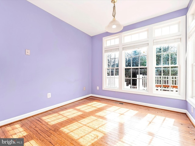 spare room featuring a wealth of natural light and light hardwood / wood-style flooring