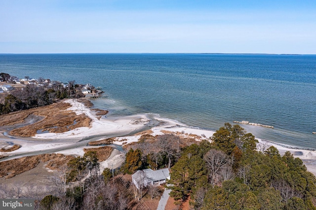 water view featuring a beach view