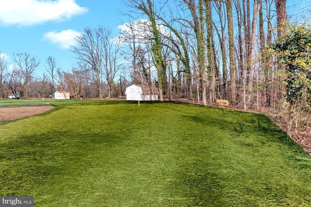 view of yard featuring a storage unit