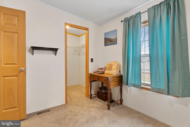 interior space featuring light carpet and visible vents