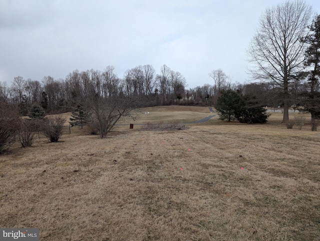 view of yard with a rural view