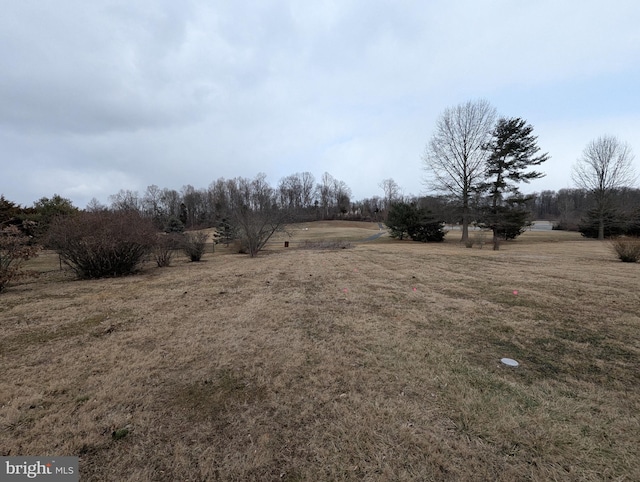 view of yard with a rural view