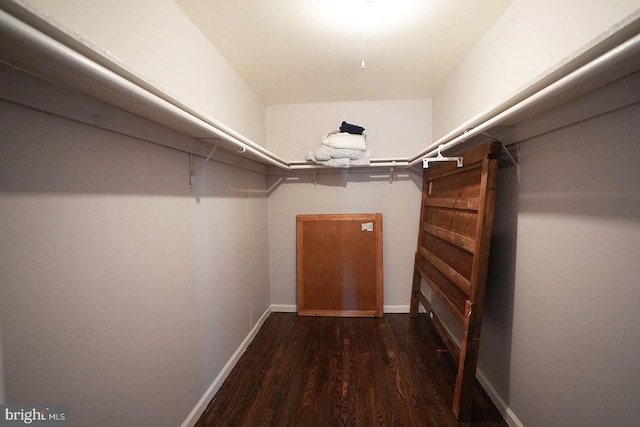 walk in closet featuring dark wood finished floors