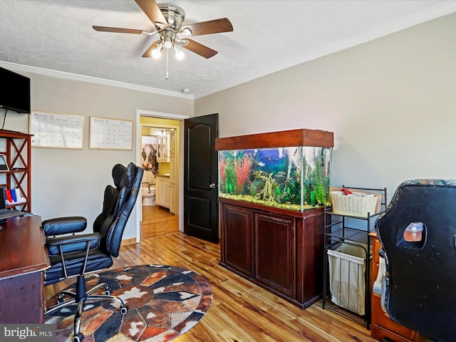 office featuring a ceiling fan, light wood-type flooring, crown molding, and a textured ceiling