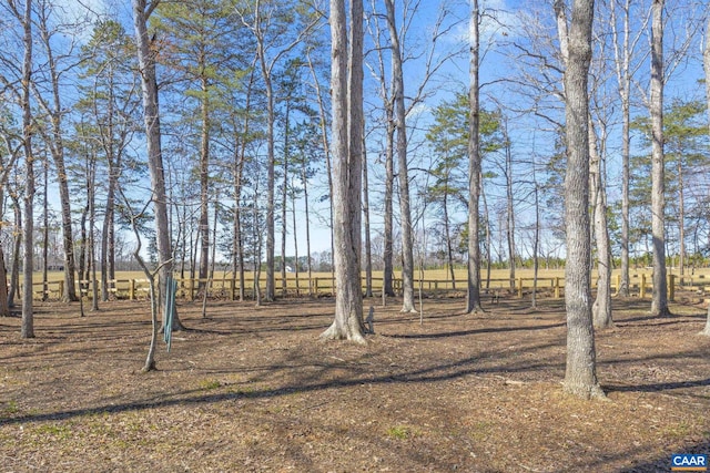 view of yard with a rural view