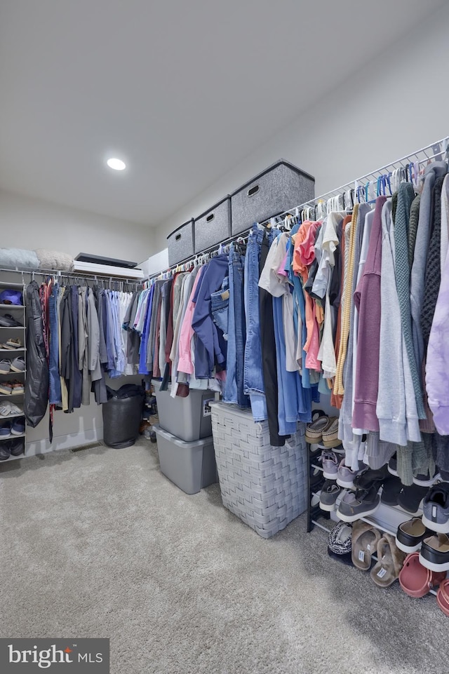 spacious closet with carpet flooring