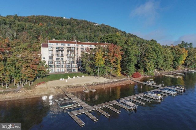 aerial view with a water view and a view of trees