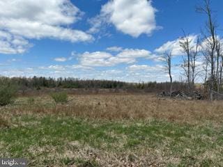 Cherry Ridge Rd, Mount Storm WV, 26739 land for sale