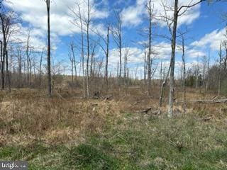 Listing photo 3 for Cherry Ridge Rd, Mount Storm WV 26739