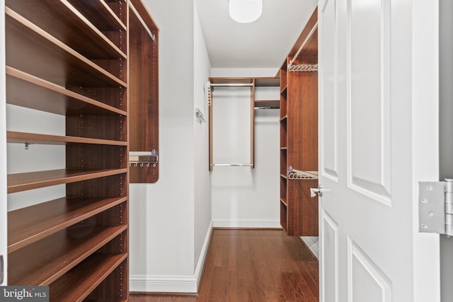 spacious closet featuring dark wood-type flooring