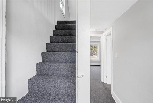 stairs featuring carpet floors and baseboards