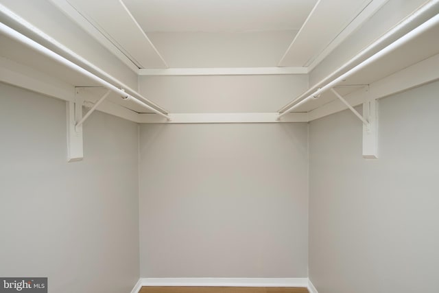 view of walk in closet