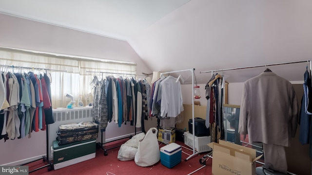 walk in closet with vaulted ceiling