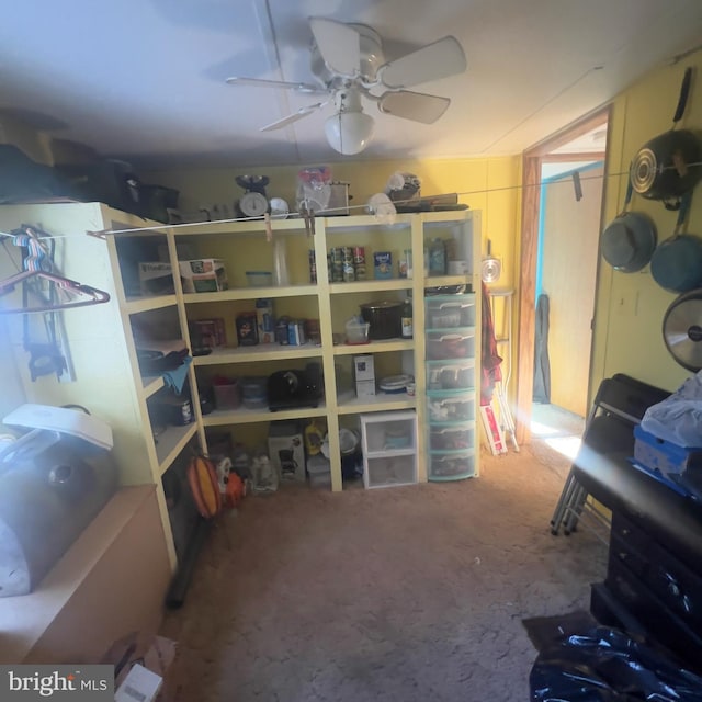 storage area featuring a ceiling fan