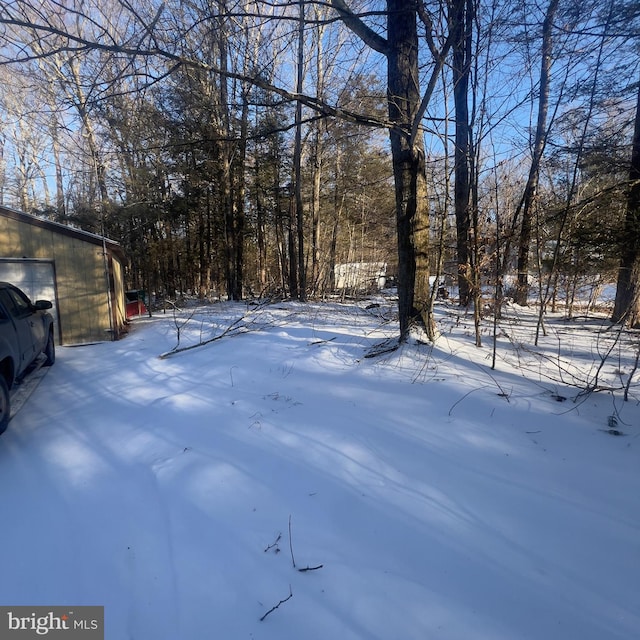 view of yard covered in snow