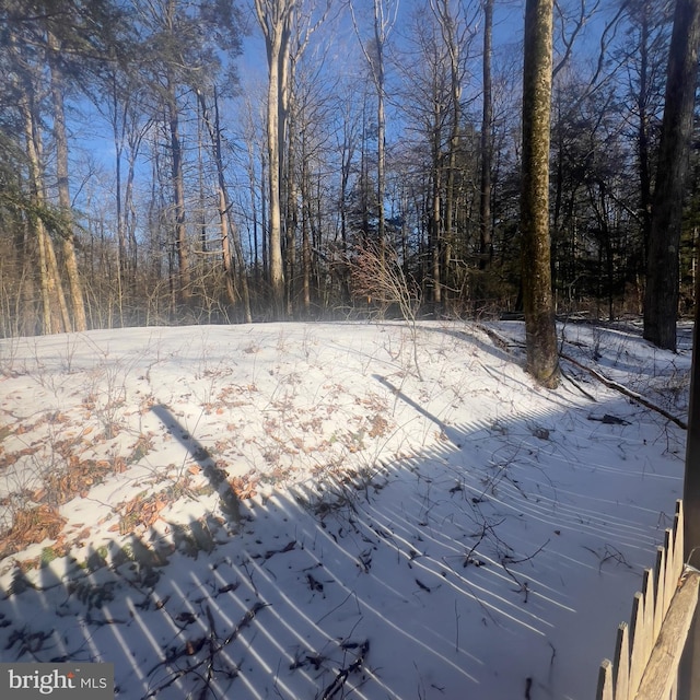 view of snowy yard