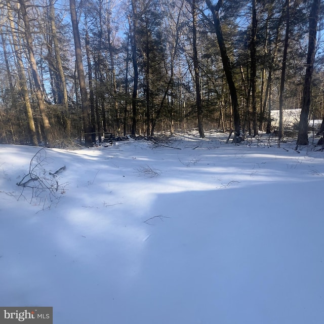 view of yard covered in snow