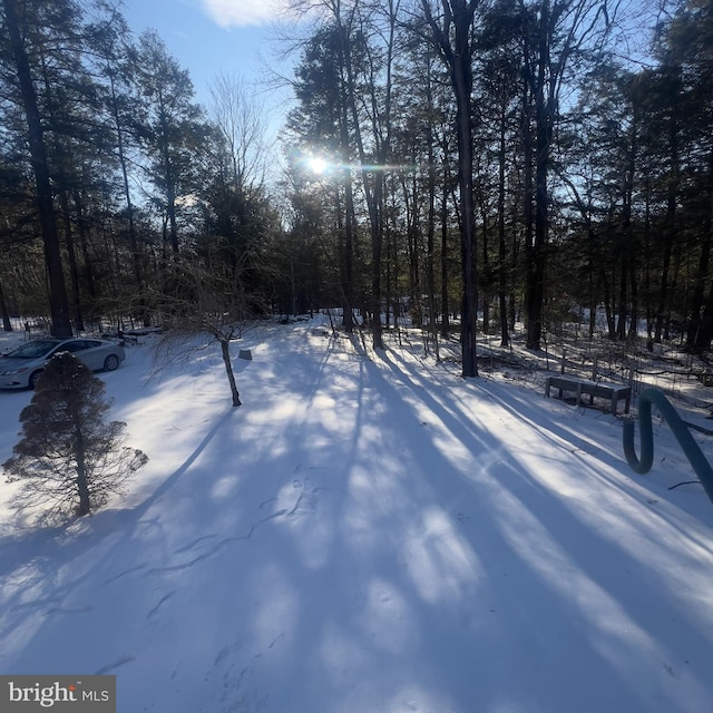 view of yard covered in snow