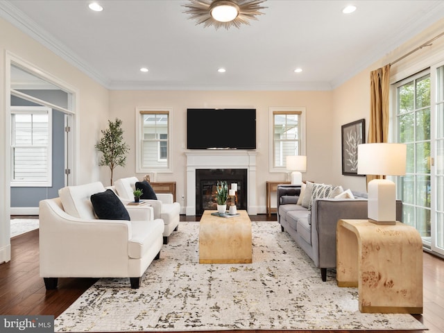 living area featuring wood finished floors, a wealth of natural light, and crown molding
