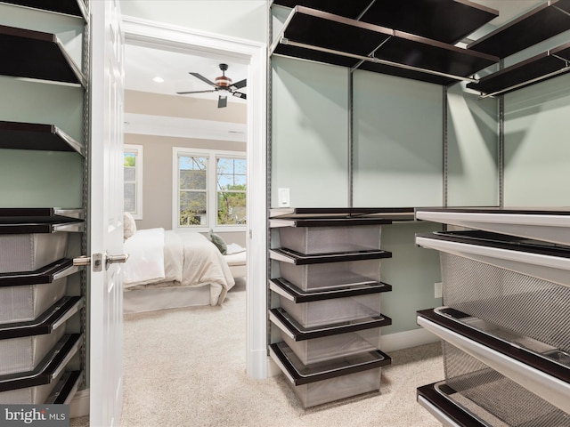 spacious closet featuring carpet floors and a ceiling fan