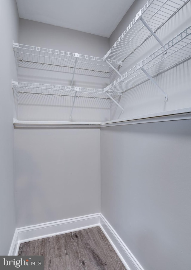 spacious closet with wood finished floors