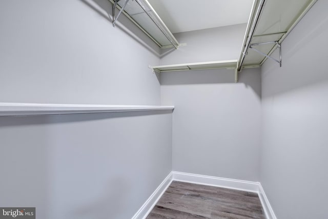 spacious closet featuring wood finished floors