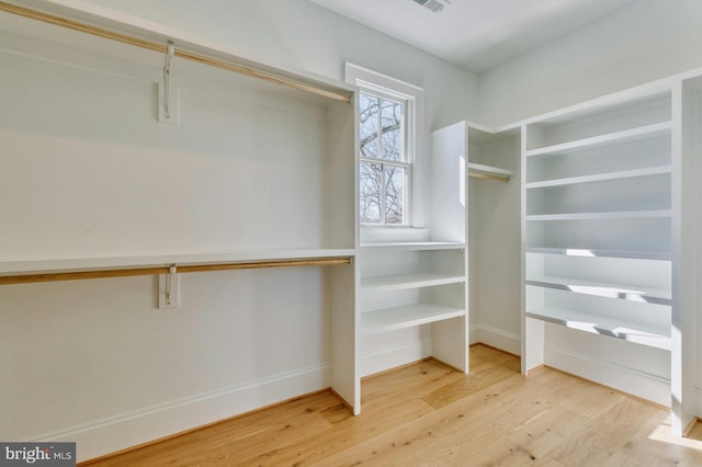 spacious closet featuring wood finished floors