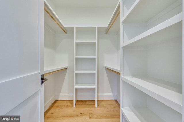 spacious closet featuring wood finished floors