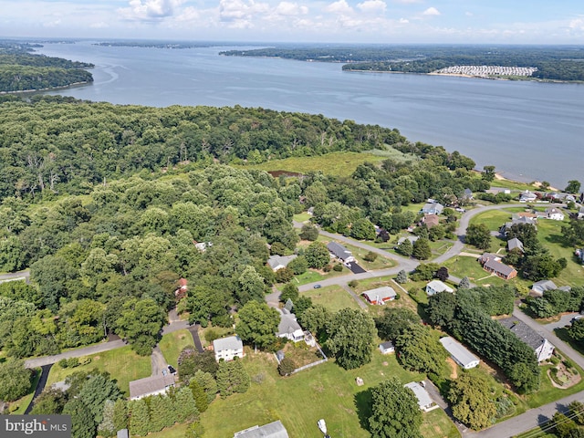 birds eye view of property with a forest view and a water view