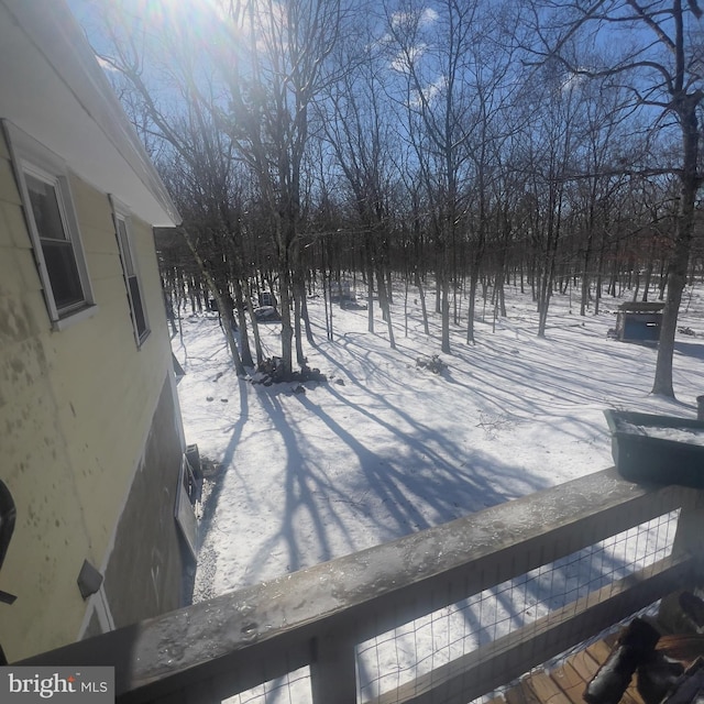 view of yard covered in snow