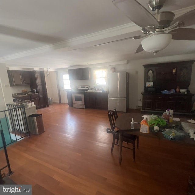 dining area featuring light wood-type flooring and ceiling fan