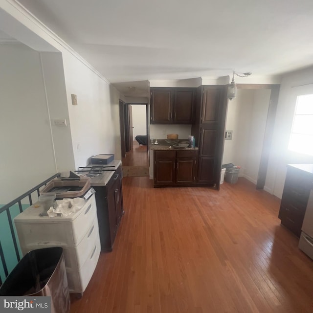 kitchen with dark brown cabinets and light wood finished floors