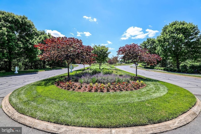 surrounding community featuring a lawn