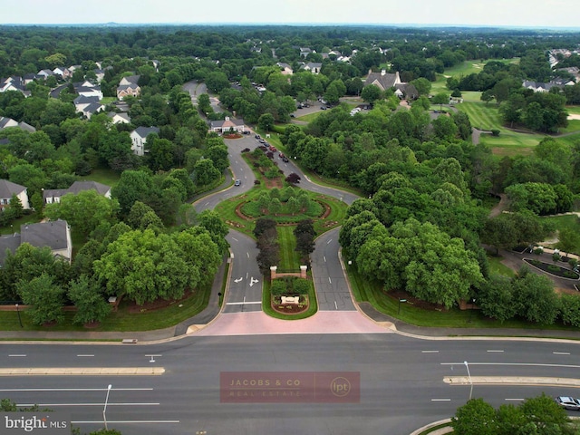 bird's eye view