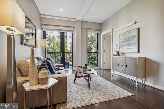 living area with dark wood-style flooring and baseboards